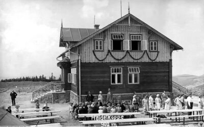 Borówkowa Góra – historie i tajemnice miejsca