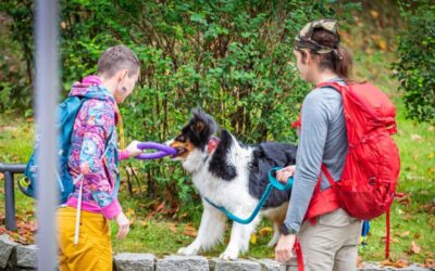 Pies, kot, tudzież inny zwierz na Festiwalu Górskim – czyli kilka słów o pupilu na imprezie